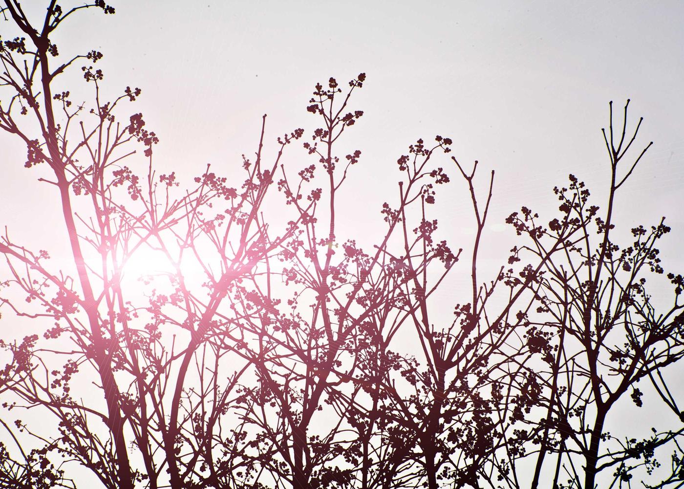 Landscape and everyday life photograph 1