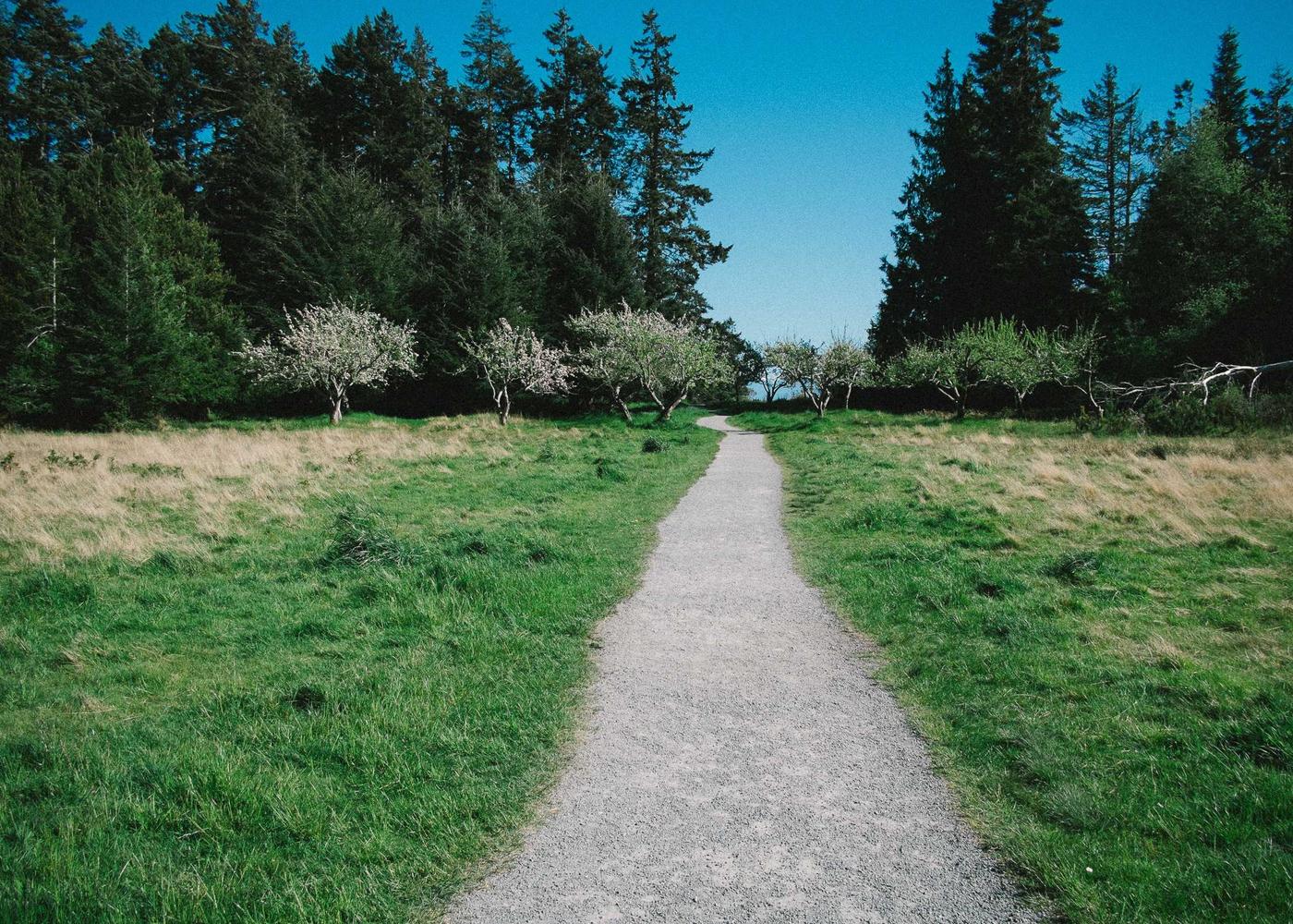 Landscape and everyday life photograph 2