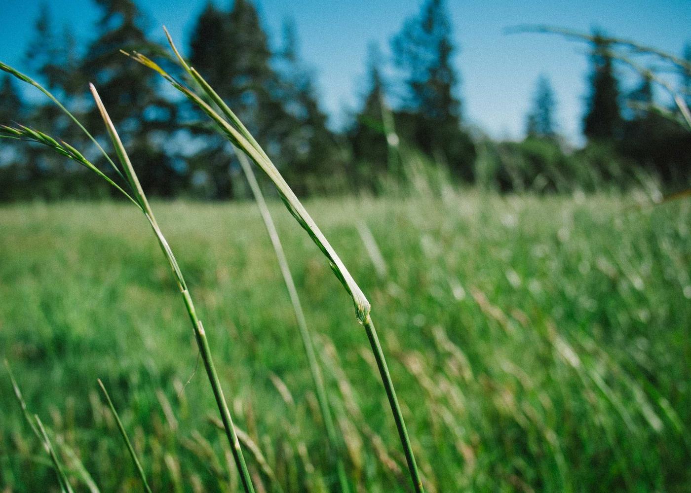 Landscape and everyday life photograph 3