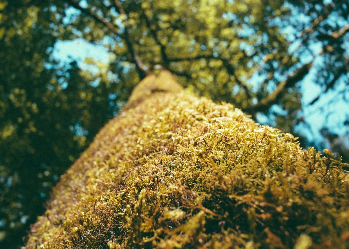 Landscape and everyday life photograph 4