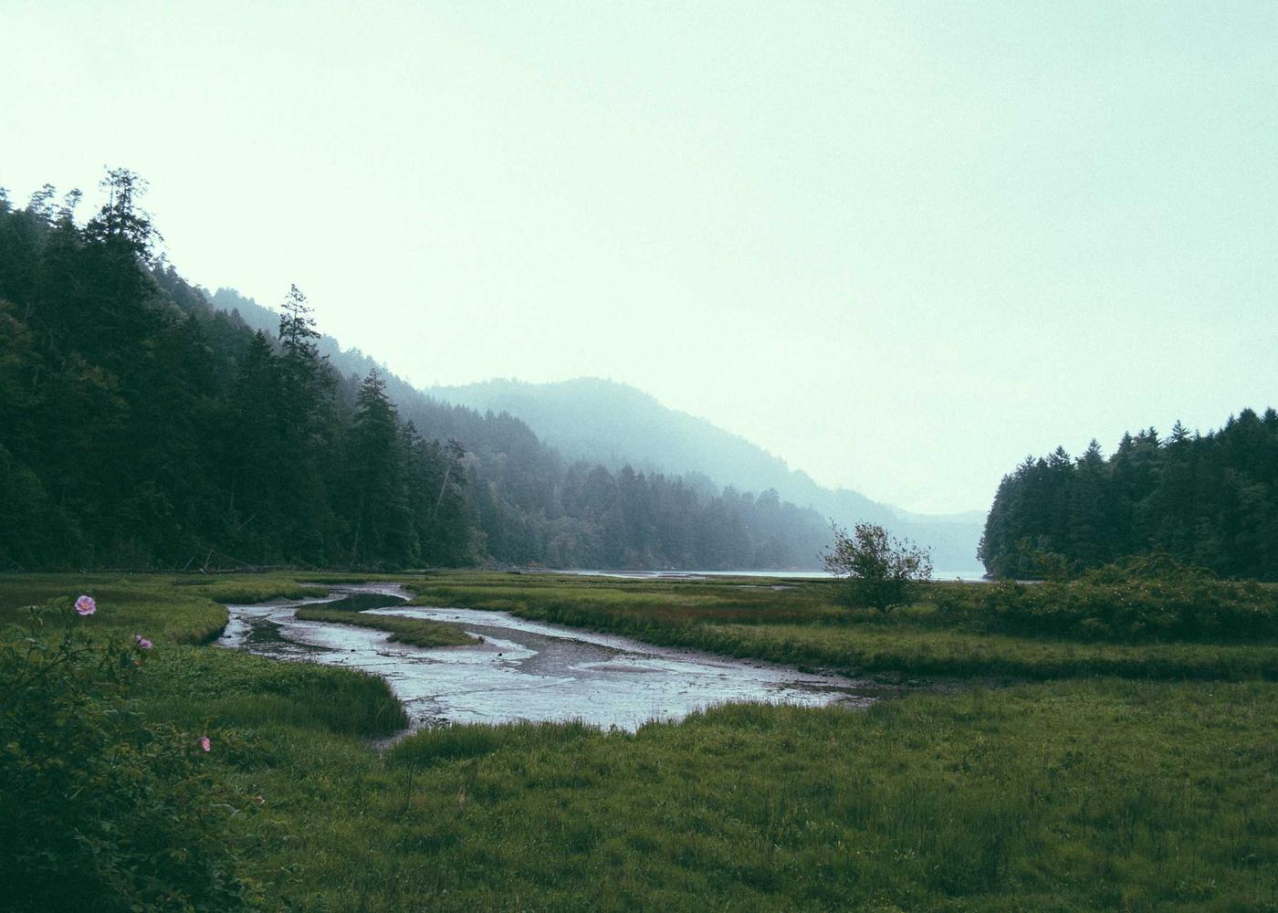 Landscape and everyday life photograph 2